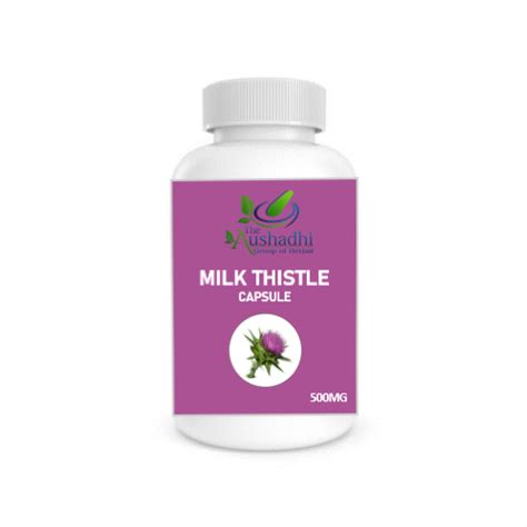 Milk Thistle Capsule At Rs Bottle Silybum Marianum Extract In