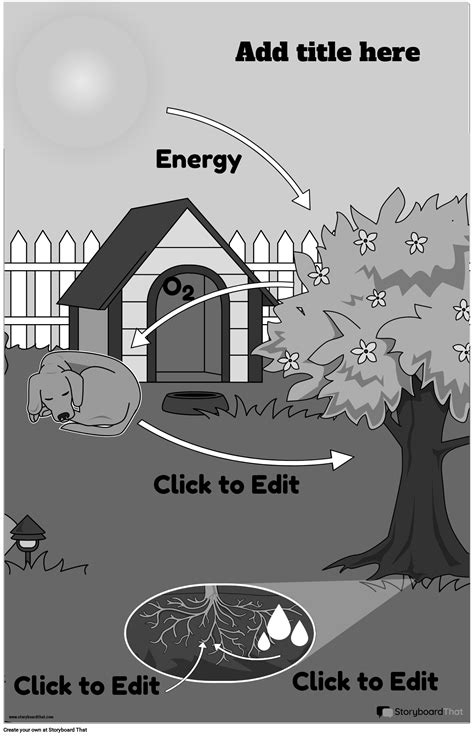 Photosynthesis Posters — Free Cellular Respiration Posters