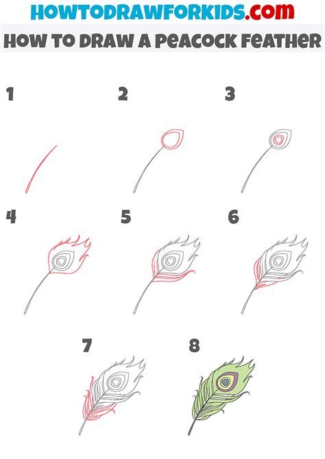 How To Draw Peacock Feathers Step By Step