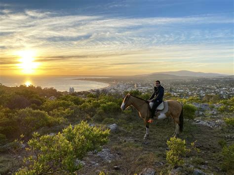 horseback riding  uruguay  experience