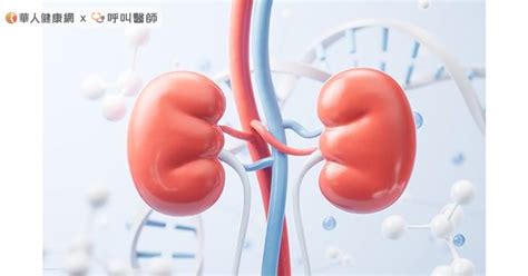 腎臟壞了怎麼知道？腎臟病5大症狀早發現，延緩腎臟功能退化 華人健康網 專業即時優質的健康新聞及資訊分享平台業即時優質的健康新聞及資訊分享平台