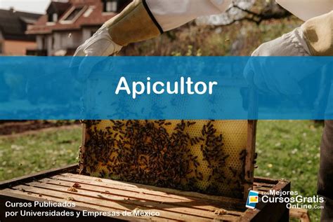 Cursos Gratis Para Ser Un Apicultor