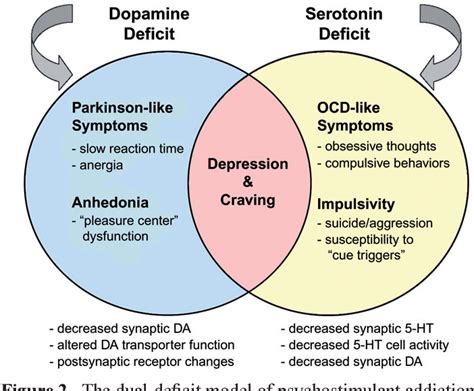 Serotonin And Dopamine Blocking Medications