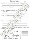 Parts Of An Ecosystem Worksheet