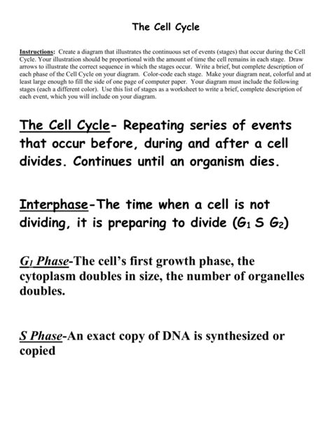 The Cell Cycle