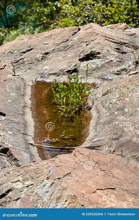 Small Puddle In The Recess Of The Rock Stock Photo Image Of Journey