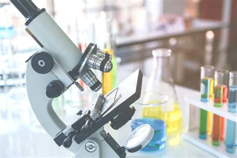 What Is a Compound Microscope & What Is It Used For? - Optics Mag