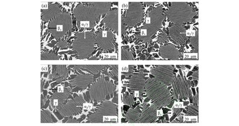 Microstructure Of The As Forged Ti 42Al 5Mn Alloy Under Different