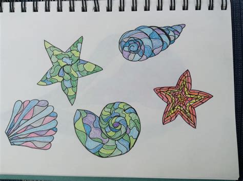 Shells Zentangle Drawings Drawings Zentangle