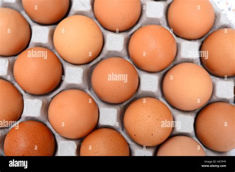 Eggs In A Carton Stock Photo Alamy