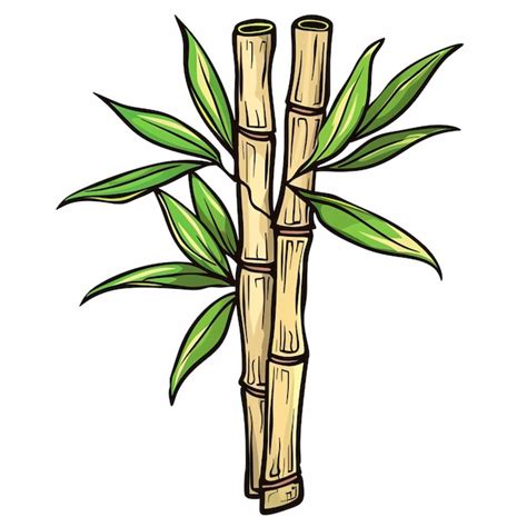 Premium Vector | A drawing of bamboo with bamboo sticks and bamboo sticks