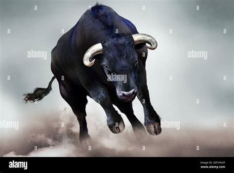 Real Angry Bull