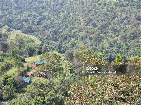 Beautiful Nilgiri Mountain Valley In Tamil Nadu India Stock Photo ...