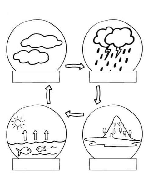 Pin by Alena B on Počasie in 2023 Water cycle worksheet Water cycle