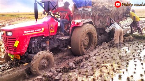 Mahindra Tractor Stuck In Mud With Trolley Mahindra Tractor Stuck