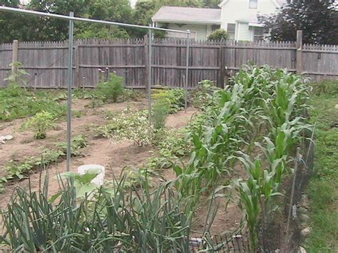 What is Organic Gardening? - Eric's Organic Garden