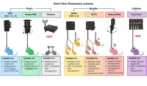 Fiber Photometry Solutions Doric Lenses Inc