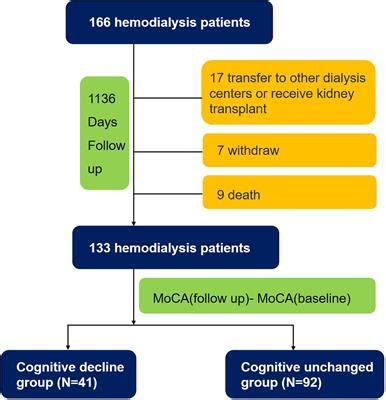 Frontiers Association Between Cognitive Function And Skeletal Muscle