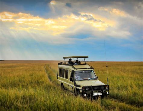 6 Days Masai Mara Lake Nakuru Amboseli National Park Shells Of