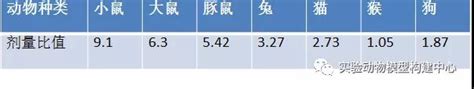 动物实验基础知识之剂量换算 丁香实验