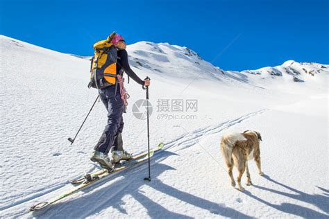 冬季滑雪的运动者与狗高清图片下载 正版图片307736012 摄图网