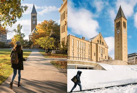 cornell zoom  comprehensive guide   collaboration  cornell