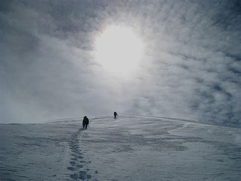 Denali National Park Alaska Winter - Free photo on Pixabay - Pixabay