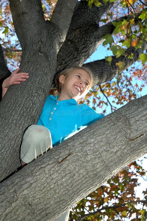 Blonde Girl Climbing High In A Tree Stock Image Image Of Feet Bare 11411855