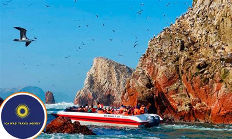 Full Day Islas Ballestas Reserva Nacional De Paracas Cuponidad