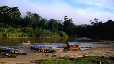 Wildlife spotting in Taman Negara National Park - BBC Travel