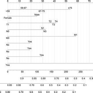 Nomogram Predicted And Year Overall Survival Os In Lung