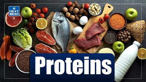 proteins  structure functions