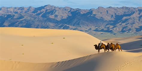 A Camel Herder At Khongor Sand Dunes Zendmen Travel Mongolia