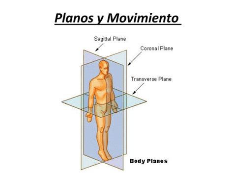 Clase Ejes Planos Y Cavidades PPT