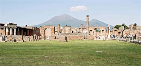 Valle Del Vesuvio E Pompei Con Degustazione Di Vini E Pranzo In Van