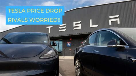 Teslas Price Cut Has Made Ev Makers Come To The Ground