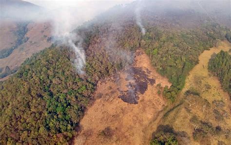 Incêndio que atingiu Parque Estadual da Serra do Papagaio queimou cerca