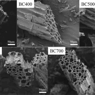 SEM Image Of Biochars In Different Pyrolysis Temperatures 300700 C