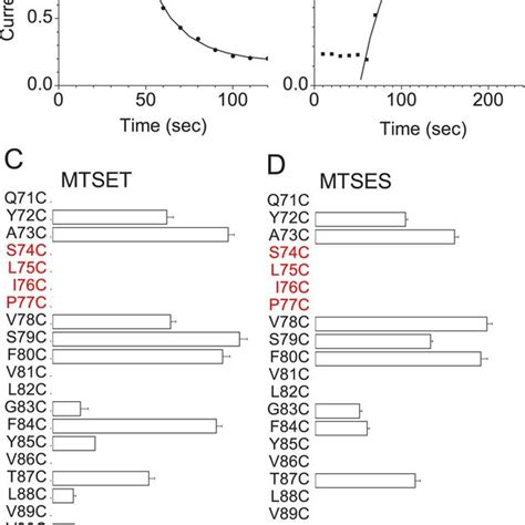 Effects Of Replacement Of Amino Acids In Mbest With Cysteine On Scn