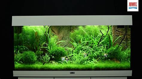 Rio Led Juwel Aquarium