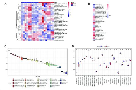 Evaluation And Visualization Of Immune Cell Infiltration A Heatmap