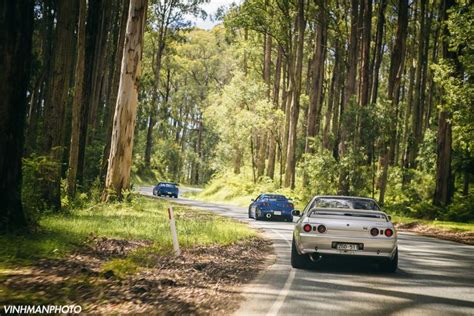 Two Cars Are Driving Down The Road In The Woods