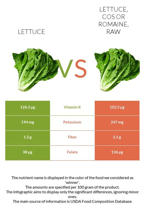 Lettuce Vs Lettuce Cos Or Romaine Raw — In Depth Nutrition Comparison