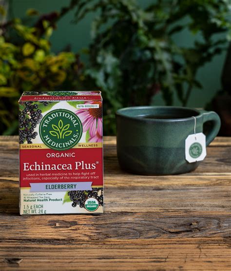 Organic Echinacea Plus® Elderberry Tea Traditional Medicinals