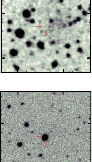 Modeling a core collapse supernova