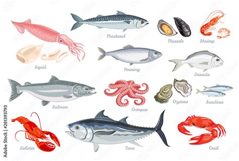 Set Of Seafood Fish Mollusks And Crustaceans Vector Illustration Of