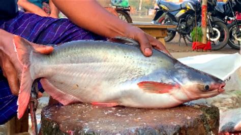 Nice Cutting Style Big Pangas Fish Cutting By Expert Fish Cutter