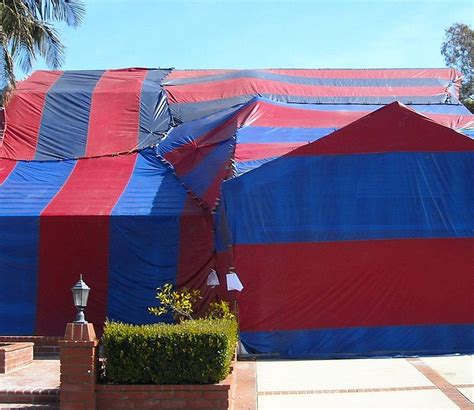 Alternatives To Tenting A House For Termites | Testmenwhosing 2022