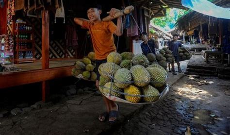 Durian Bikin Kolesterol Tinggi Mitos Atau Fakta Begini Penjelasan Ahli