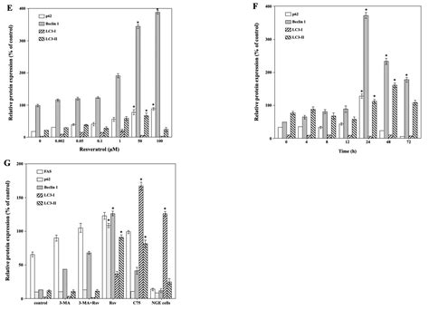 Molecules Free Full Text Resveratrol Inhibits Proliferation And